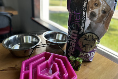 2024-petfriendly-chicohorizontal-02